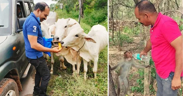 जानवरों के लिए खर्च करते हैं आधी से ज्यादा कमाई, जंगलों में भी जाकर खिलाते हैं खाना