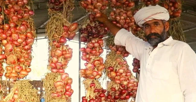 किसान से सीखिए प्याज़ स्टोर करने का देसी जुगाड़, कई महीनों तक नहीं होंगे खराब
