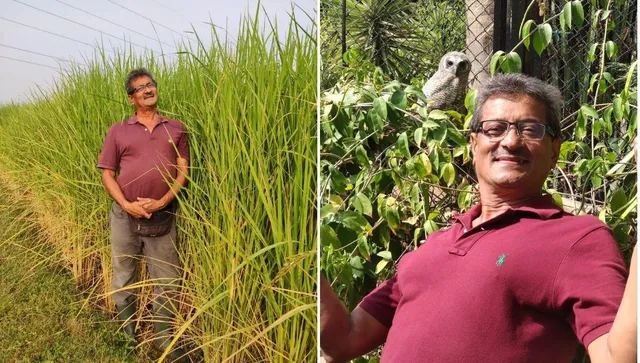 Ahmedabad's organic farmer