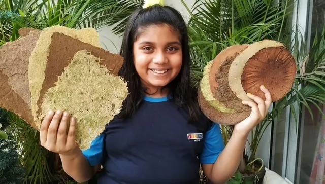 Manya made paper from vegetable peels