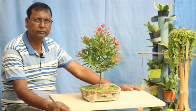 Bonsai Gardening