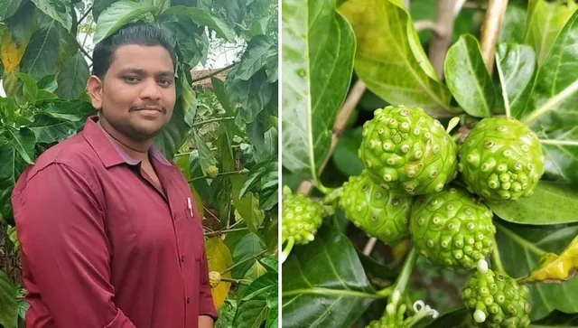 Prasenjeet grows Noni in Bokaro