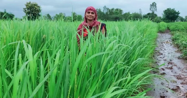 organic farming