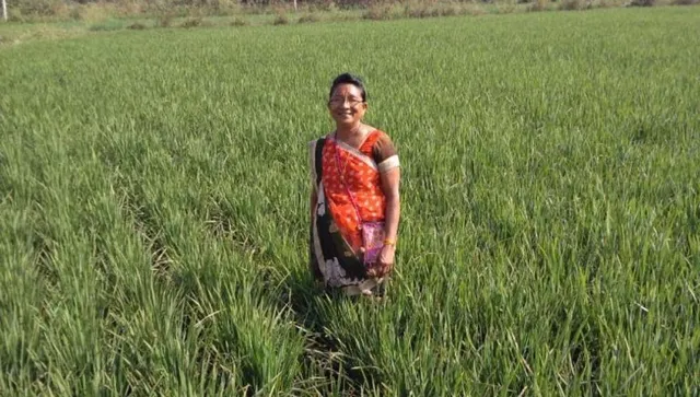 Senior Citizen woman farmer
