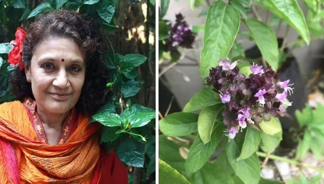 Grow these five medicinal plants