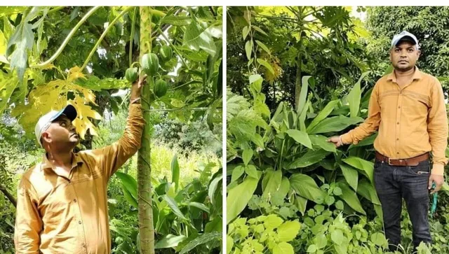 Prakash school teacher gardening