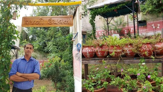 Natural Eco Friendly Living And Gardening At Home By Planting Trees
