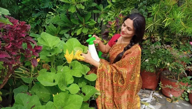 Basic tools & tips to start gardening