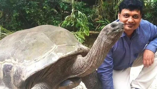 Turtle Shailender Singh Wild Life