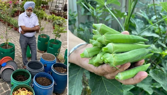 gardening and composting