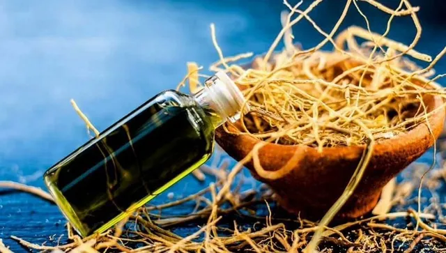 कूलर की घास में ऐसा क्या है खास, जिसे मुग़लों ने भी माना और फिजी जैसे देश ने भी अपनाया