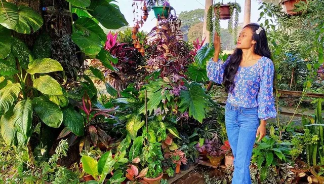 Home Gardening By Deepika Lakda in Ranchi
