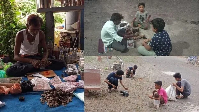 Gujarat Carpenter Mukesh Dhapa