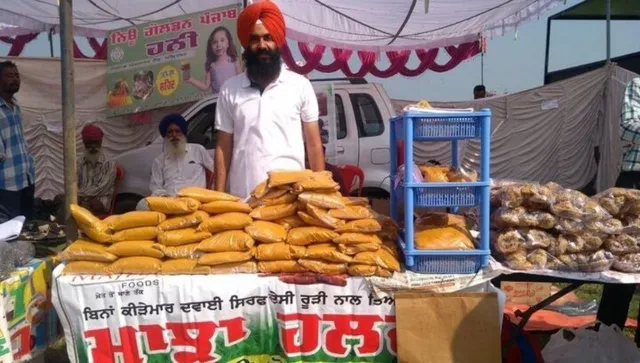 turmeric farming business plan profit in india