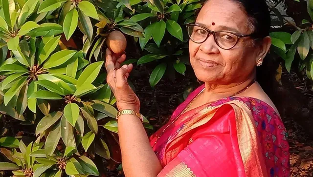 Latika Patel uses solar dryer machine for her fruit processing business