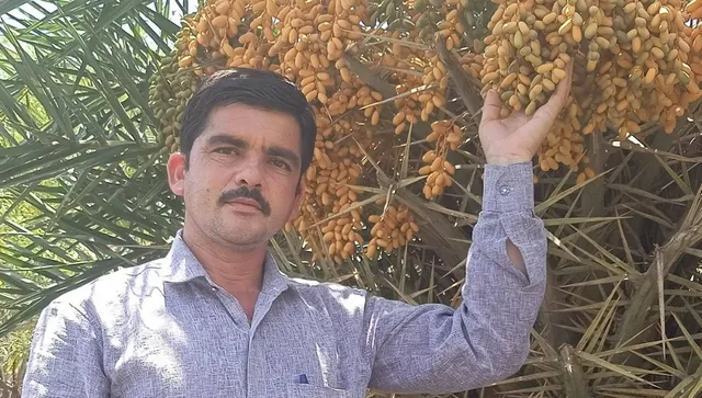 kedar saini tree planation