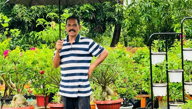 gardening by sureshchandra