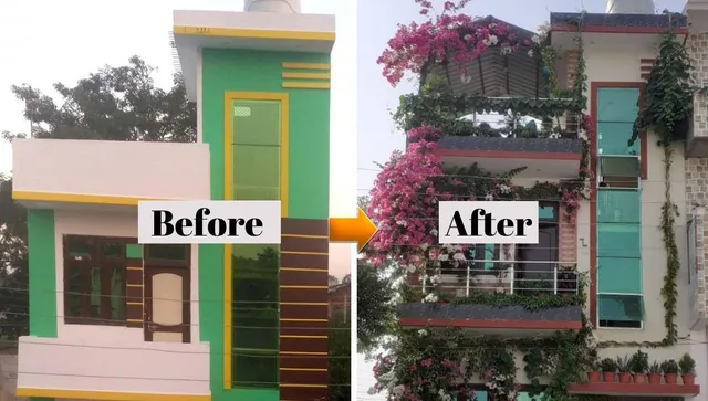 sudhir saini gardening (5)