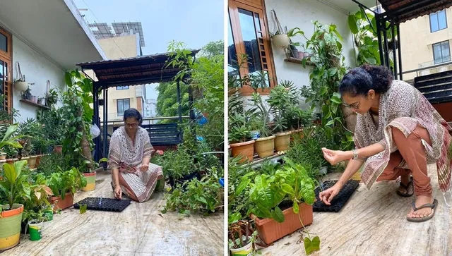 August vegetables