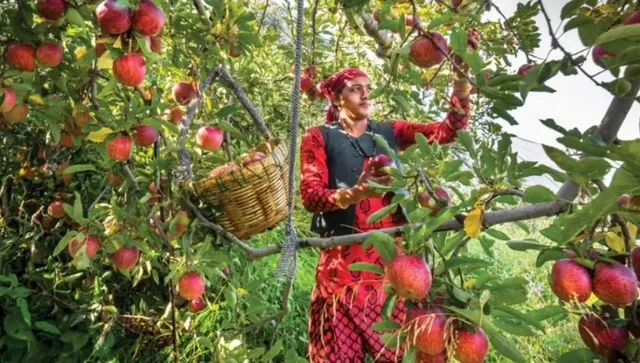 Indian states famous for different fruits