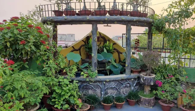 patna garden (6)