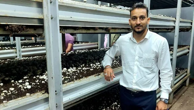 how to do mushroom business