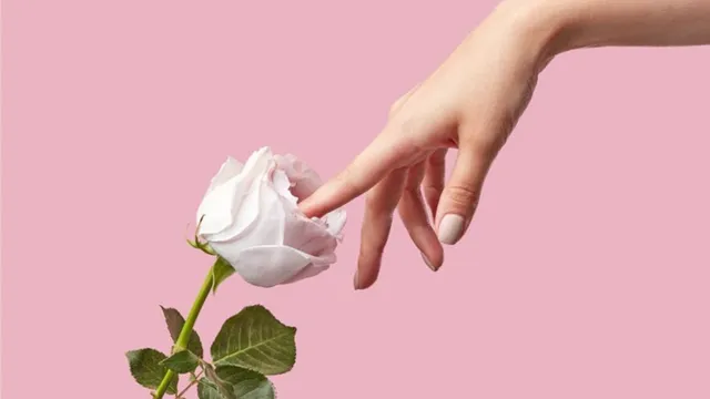 Rus mushuk kamming video