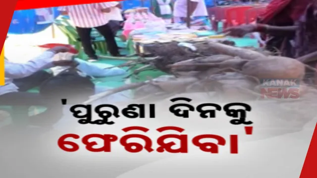 Bio Diversity Festival