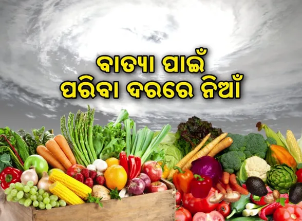 vlcsnap-2024-10-22-20h13m20s366