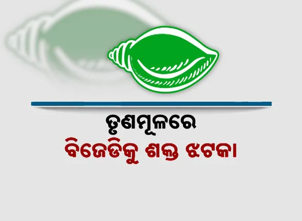 vlcsnap-2024-10-25-20h35m58s109