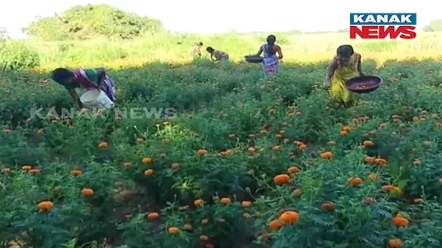 vlcsnap-2024-10-27-21h47m01s286