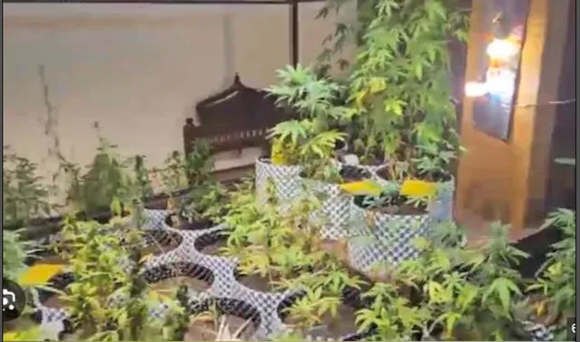 Screen Shot 2024-11-14 at 9.11.16 AM