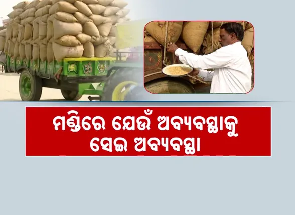 vlcsnap-2024-11-22-22h25m56s802