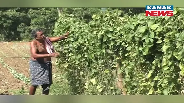 vlcsnap-2024-11-24-21h07m50s505