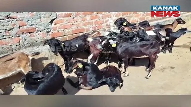 vlcsnap-2024-11-24-21h21m25s781