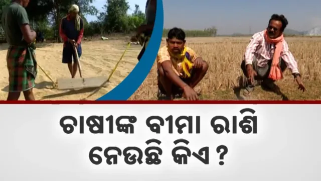 ଚାଷୀଙ୍କ ବୀମା ରାଶି ନେଉଛି କିଏ?