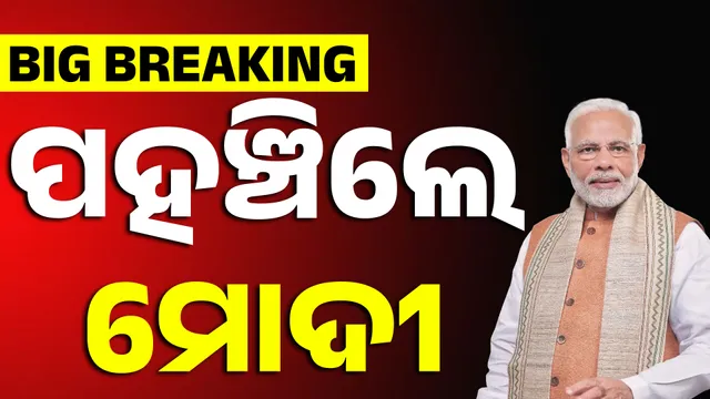 New Project (10)1111