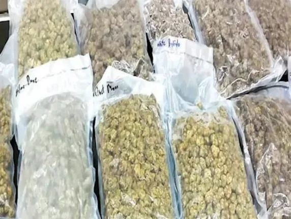 Screen Shot 2025-01-15 at 9.40.14 AM