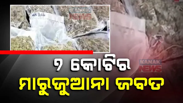 ୭ କୋଟିର ମାରୁଜୁଆନା ଜବତ