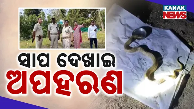 ନାଗସାପ ଦେଖାଇ କିଡନାପ୍