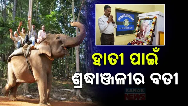 tributes to Elephants