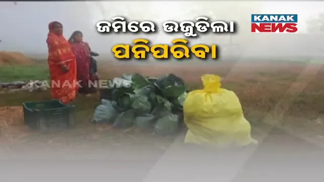 vlcsnap-2025-01-30-22h29m33s627