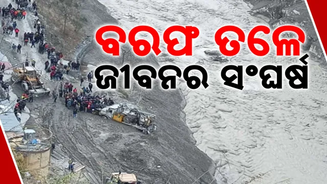 ବରଫ ତଳେ ଜୀବନର ସଂଘର୍ଷ 