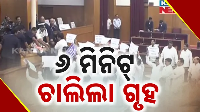 Assembly Only 6 Minutes 