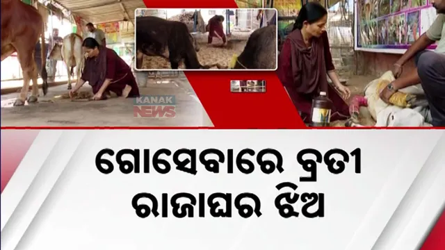 27ୋଂମ୍ୋେମି