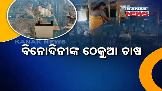 vlcsnap-2025-03-09-20h38m39s292