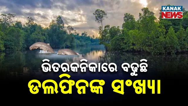 ଭିତରକନିକା