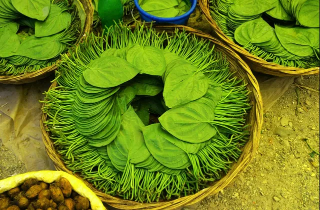  betel leaf  