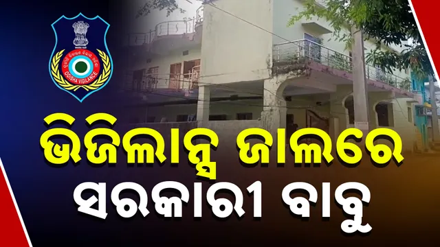 ଭିଜିଲାନ୍ସ ରେଡ୍