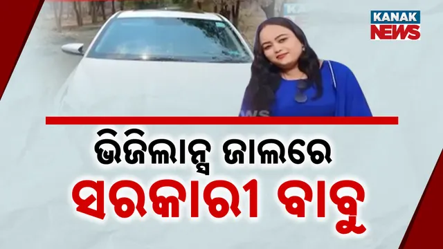 ଭିଜିଲାନ୍ସ